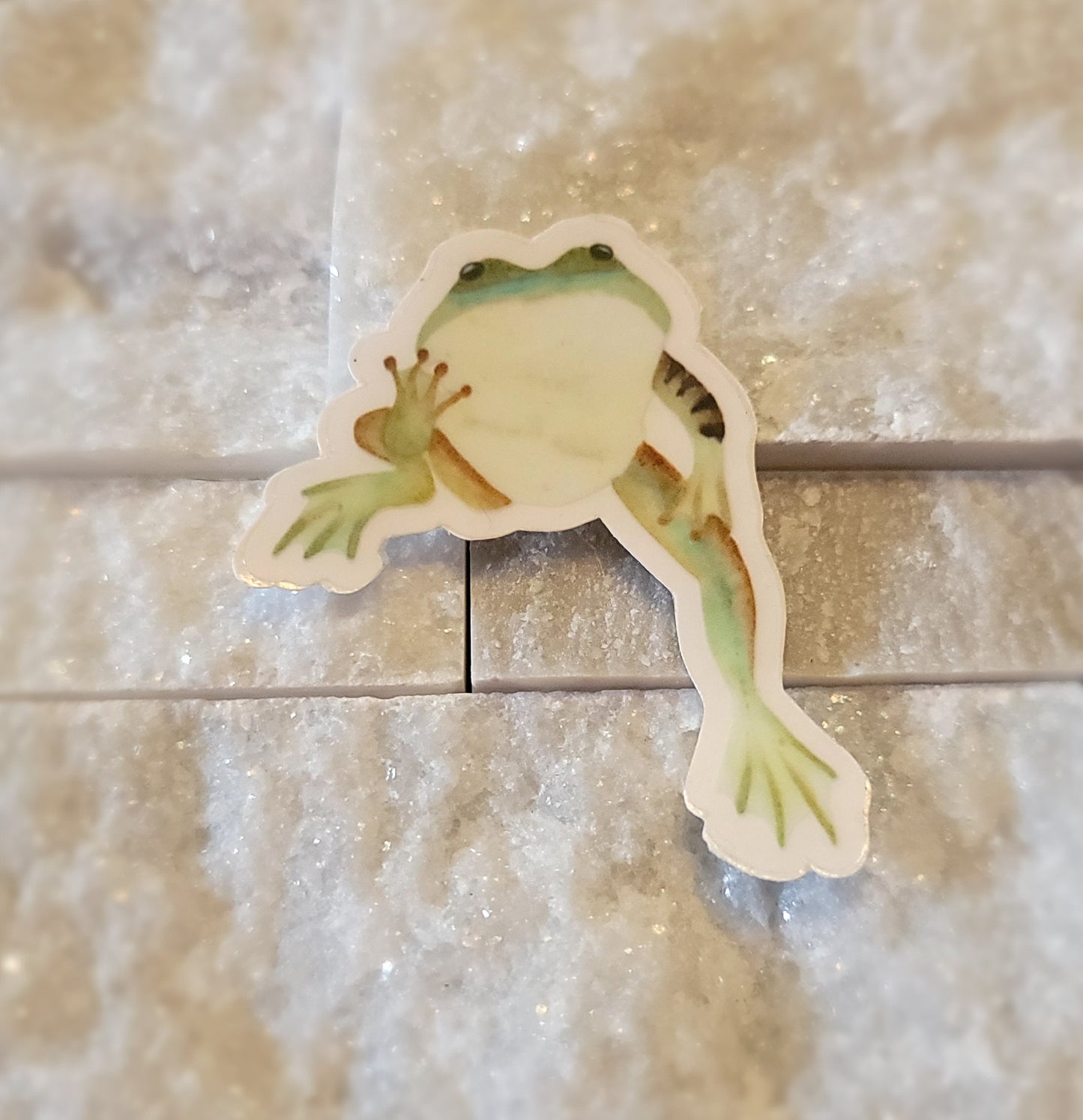 Mac Frog Sticker *CLEAR STICKER